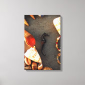 Meerpferd Leinwanddruck (Vorderseite)