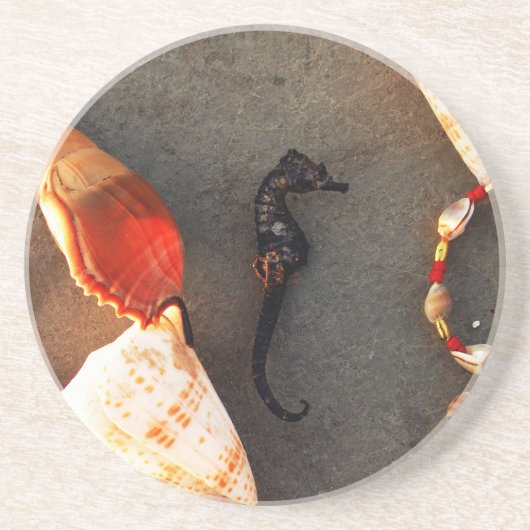 Meerpferd Sandstein Untersetzer (Vorne)