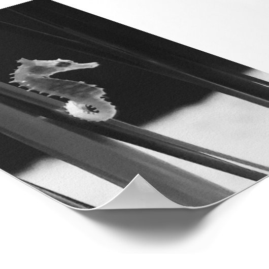 Meerpferd - Schwarzweiß Poster (Ecke)