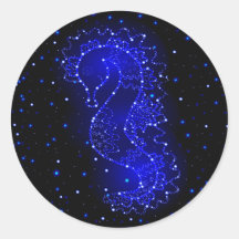 Meerpferde schwimmen im Licht