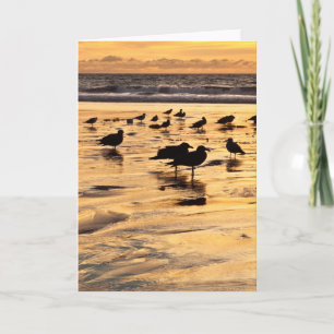 Meerschluchten am Strand bei Sonnenuntergang Karte