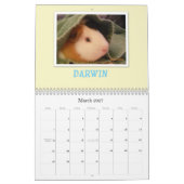 Meerschweinchen 2013 kalender (Mär 2027)