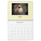 Meerschweinchen 2013 kalender (Feb 2027)