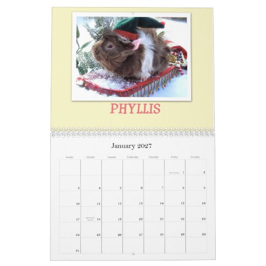 Meerschweinchen 2013 kalender (Jan 2027)