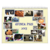Meerschweinchen 2013 kalender (Titelbild)