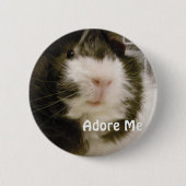 Meerschweinchen Button (Vorderseite)