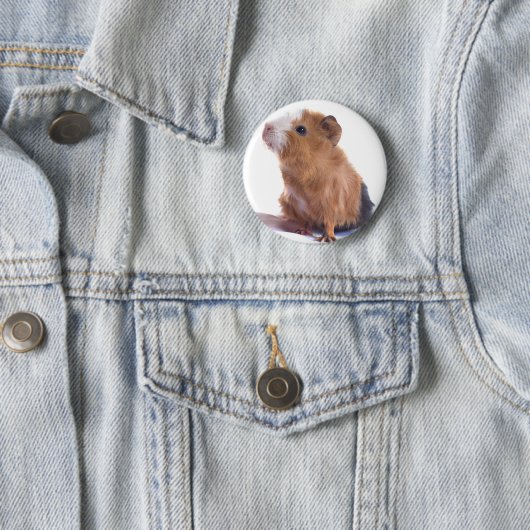 Meerschweinchen Button (Beispiel)