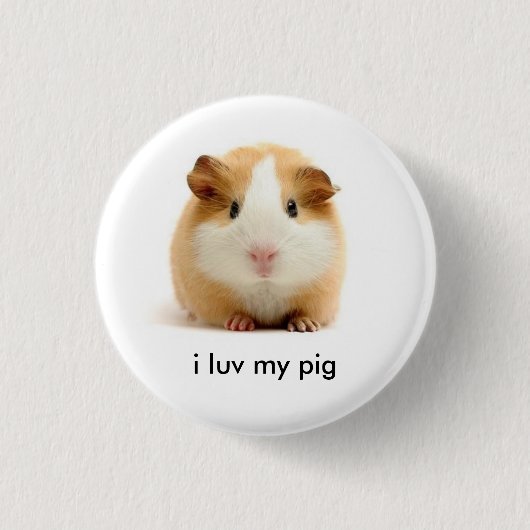 Meerschweinchen Button (Vorderseite)
