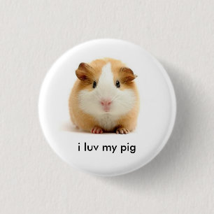 Meerschweinchen Button