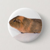 Meerschweinchen Button (Vorderseite)