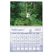 Meerschweinchen calander kalender (Feb 2027)