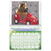 Meerschweinchen calander kalender (Mär 2027)