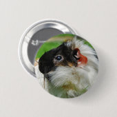 Meerschweinchen Chewie Button (Vorne & Hinten)