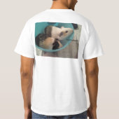 Meerschweinchen-Comic ohne Frucht??? idk T-Shirt (Rückseite)