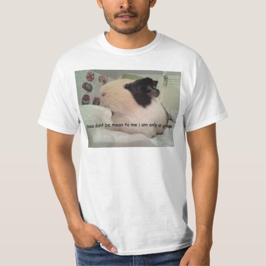 Meerschweinchen-Comic ohne Frucht??? idk T-Shirt (Vorderseite)