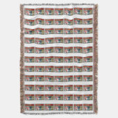 Meerschweinchen Decke (Vorderseite Vertikal)