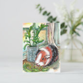 Meerschweinchen durch das Fenster Postkarte (Stehend Vorderseite)