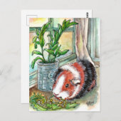 Meerschweinchen durch das Fenster Postkarte (Vorne/Hinten)