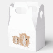 Meerschweinchen-Geschenkbox Geschenkschachtel (Geöffnet)