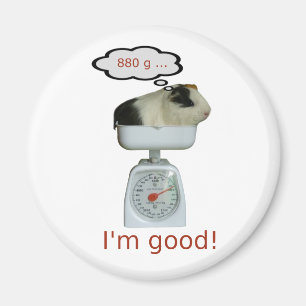 Meerschweinchen-Gesundheit Magnet