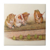 Meerschweinchen in der Garten-Alternative Fliese (Vorderseite)