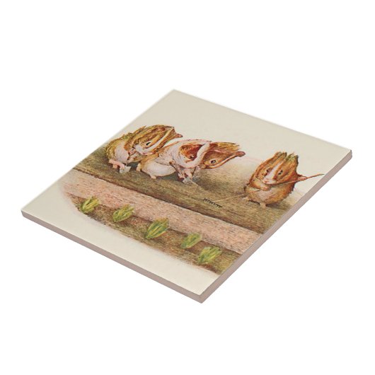 Meerschweinchen in der Garten-Alternative Fliese (Seite)