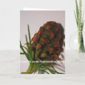 Meerschweinchen in der Weihnachtsmannmütze Feiertagskarte (Rückseite)