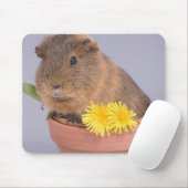Meerschweinchen in einem Flowerpot Mousepad (Mit Mouse)