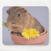 Meerschweinchen in einem Flowerpot Mousepad (Vorne)