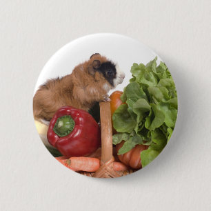 Meerschweinchen in einem Korb des Gemüses Button