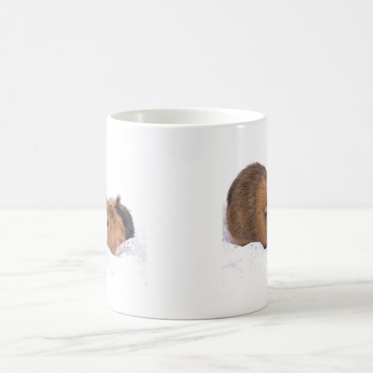 Meerschweinchen Kaffeetasse (Mittel)