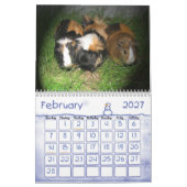 Meerschweinchen-Kalender 2013 Kalender (Feb 2027)
