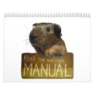 Meerschweinchen-Kalender 2013 Kalender