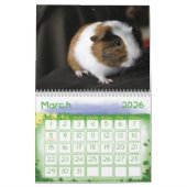 Meerschweinchen-Kalender 2013 Kalender (Mär 2026)