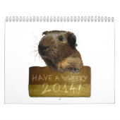 Meerschweinchen-Kalender 2014 Kalender (Titelbild)