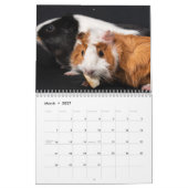 Meerschweinchen-Kalender 2026 Kalender (Mär 2027)