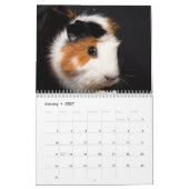 Meerschweinchen-Kalender 2026 Kalender (Jan 2027)