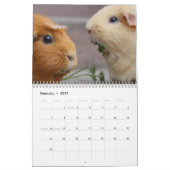 Meerschweinchen-Kalender 2026 Kalender (Feb 2027)