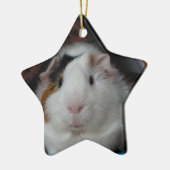 Meerschweinchen Keramikornament (Links)