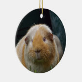 Meerschweinchen Keramikornament (Rechts)