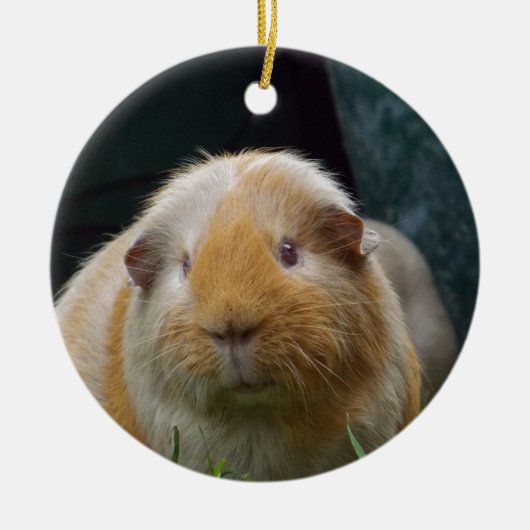 Meerschweinchen Keramikornament (Vorne)