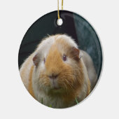 Meerschweinchen Keramikornament (Links)
