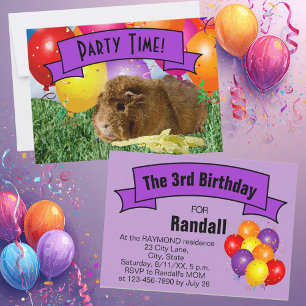 Meerschweinchen-Kinder-3. Geburtstagsfeier-Ballons Einladung