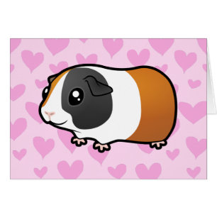 Meerschweinchen-Liebe (glattes Haar)