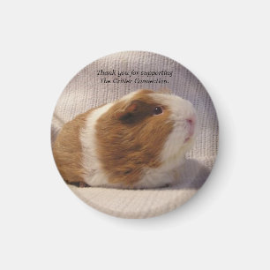 Meerschweinchen-Magnet #5 Magnet