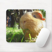 Meerschweinchen Maus-Auflage Mousepad (Mit Mouse)