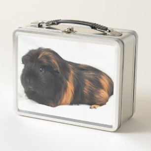 Meerschweinchen Metall Brotdose