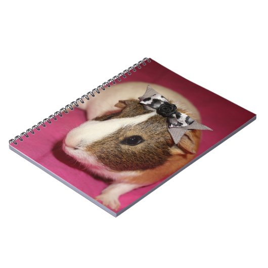 Meerschweinchen mit Bogen 2 Notizblock (Linke Seite)