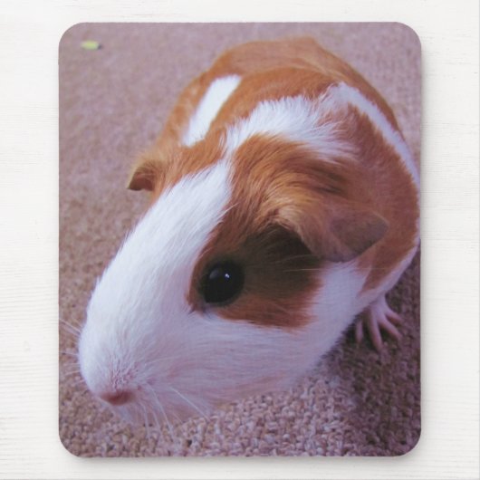 Meerschweinchen Mousepad (Vorne)