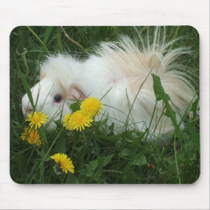 Meerschweinchen Mousepad